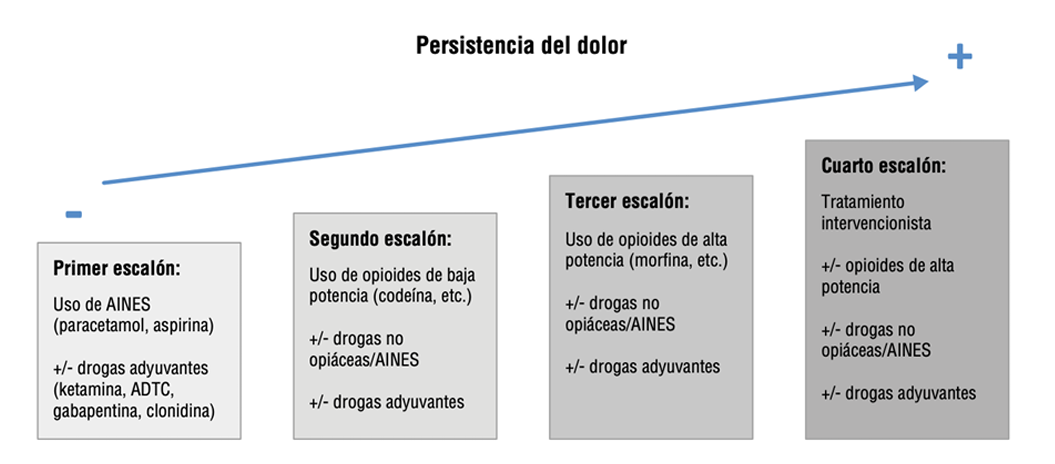 5. Tratamiento 5 - GPC-SS-011-22